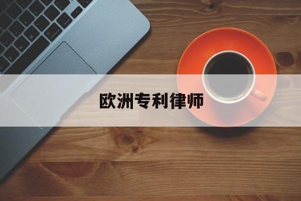 欧洲专利律师(欧洲专利律师收入)