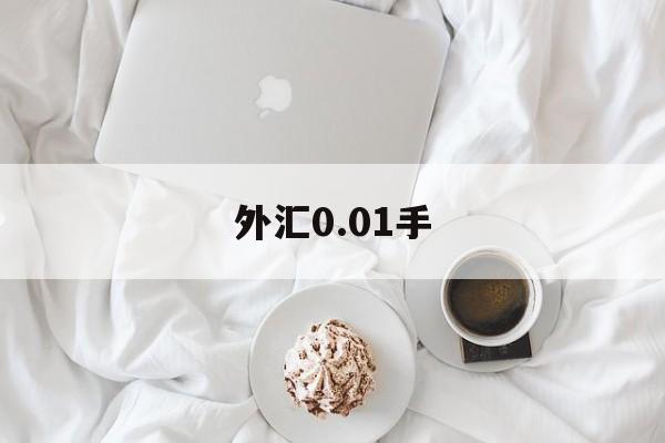 外汇0.01手(外汇001手如何做大)