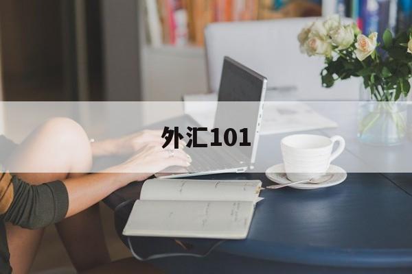 外汇101(外汇110官网首页)